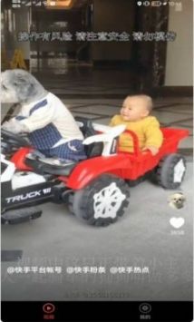 宠物趣看安卓版