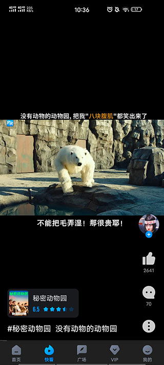 多多视频在线观看播放版