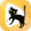 猫咪视频永久免费版