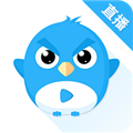 小鹰直播高清版