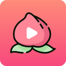 蜜桃视频在线观看版