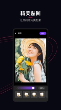樱花视频在线观看电视剧全集免费版