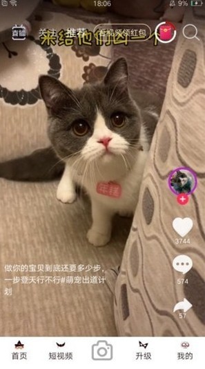 暖暖视频在线观看免费观看高清中文版