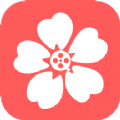 樱花视频免费版