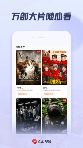 西瓜视频安卓版
