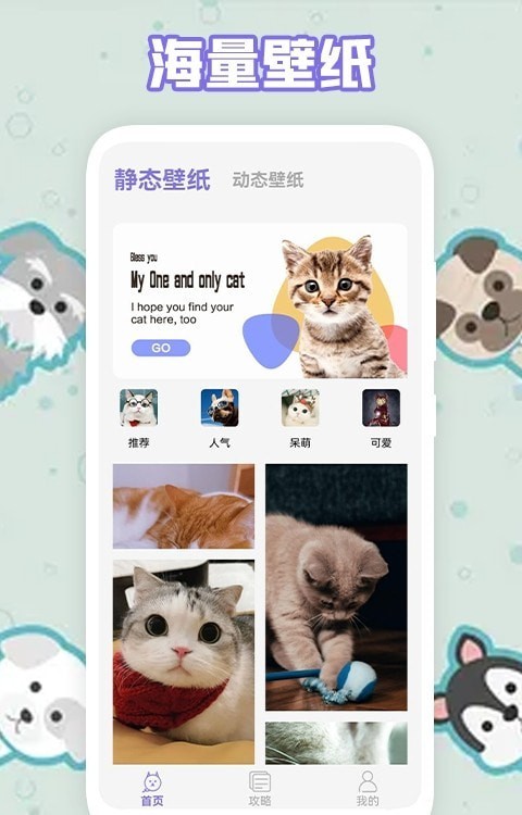 多多养猫助手免费版