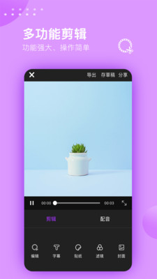 水果视频纯净版