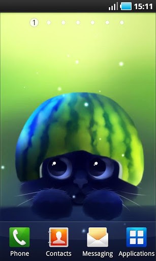 可爱猫咪壁纸安卓版