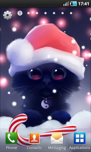可爱猫咪壁纸安卓版