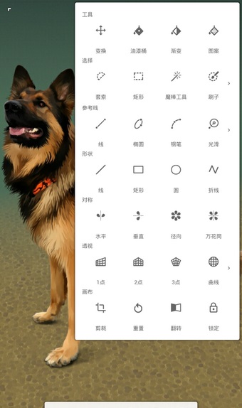 painter官方正版