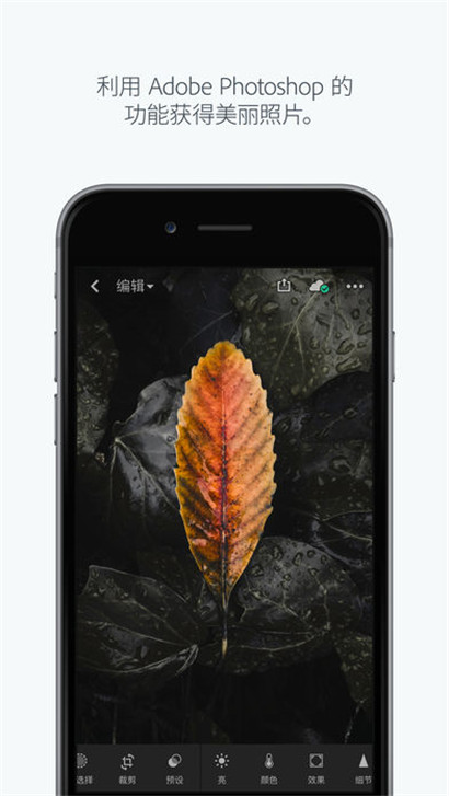 Lightroom cc破解版