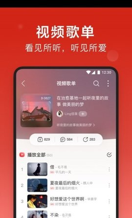 dsomusic精简版