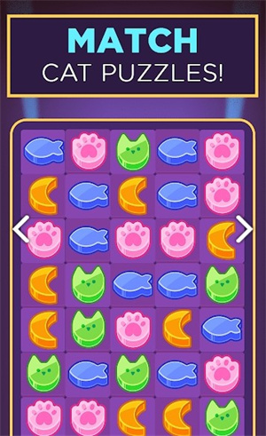胖猫咪安卓版
