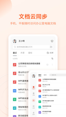 wps专业版