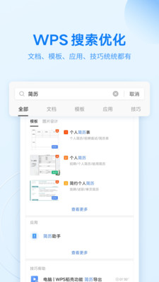 wps专业版