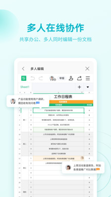wps专业版