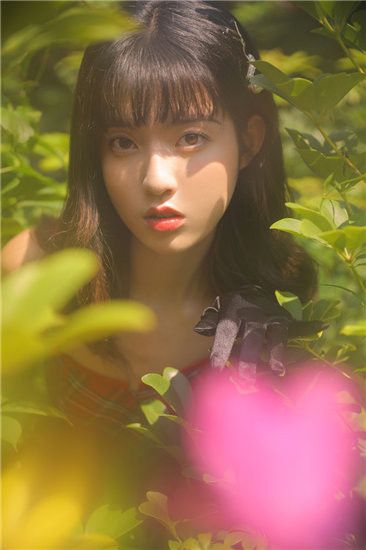 草莓秋葵菠萝蜜黄瓜丝瓜破解版