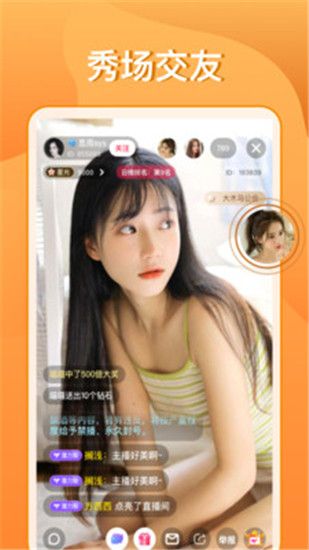 小蝌蚪向日葵秋葵精简版