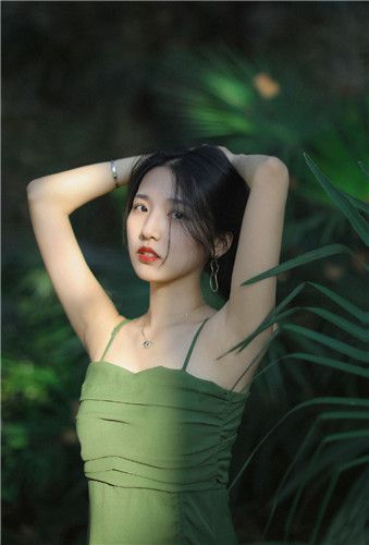 性宝福芭乐向日葵鸭脖精简版