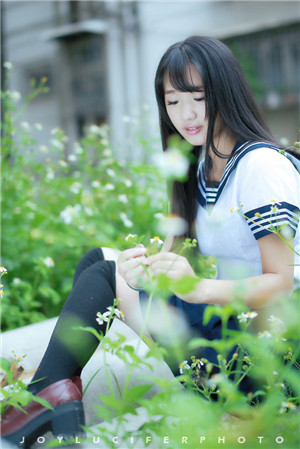 秋葵草莓黄瓜荔枝丝瓜精简版