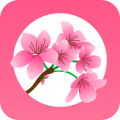 桃缘交友官方版