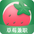 草莓兼职破解版