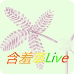 含羞草testflight官方版