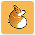 Corgi破解版