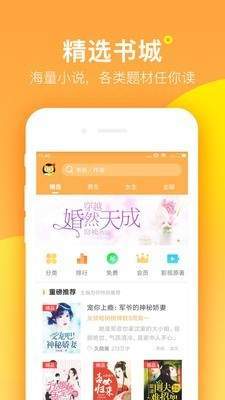 七星猫精品小说破解版