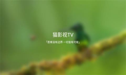 猫影视TV官方版
