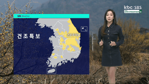 江湖TV精简版