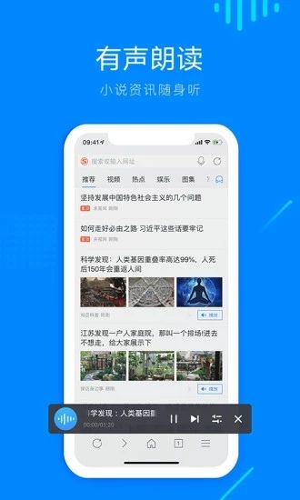 safari浏览器精简版