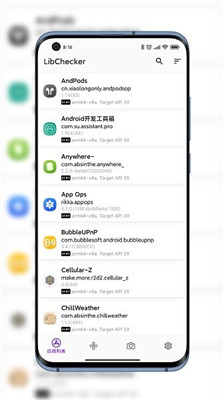 libchecker精简版