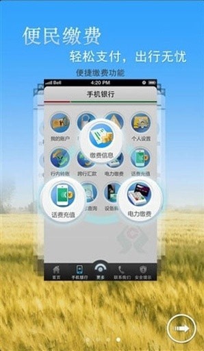 福建农信精简版