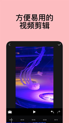 coveer破解版