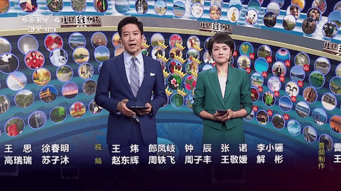 貂蝉影视官方版