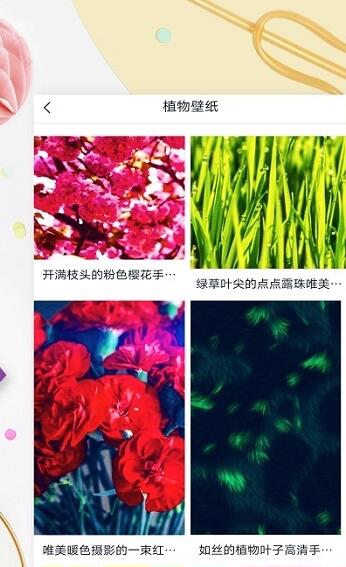 mix壁纸精简版