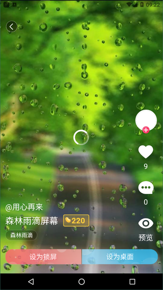 小鸟壁纸官方版