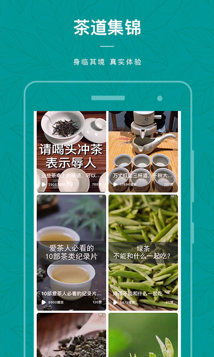 茶物几何官方版