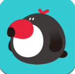 犀鸟公考官方版