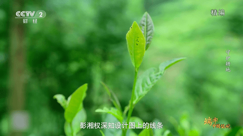 星火直播免费版