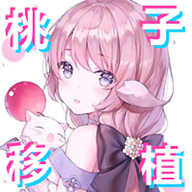 雷电将军的惩罚破解版