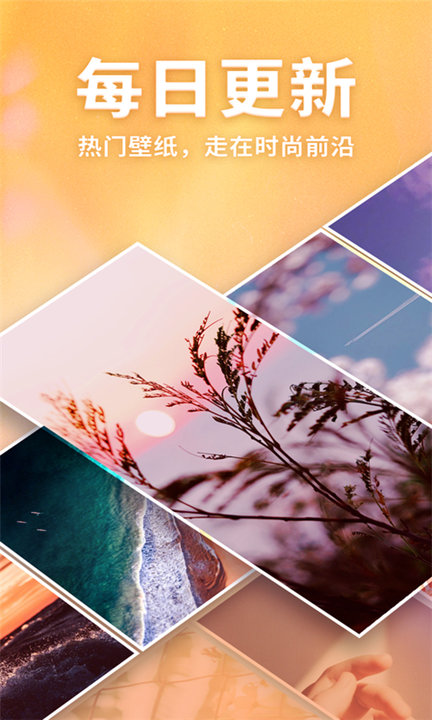画壁官方版