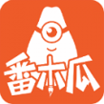 番木瓜精简版