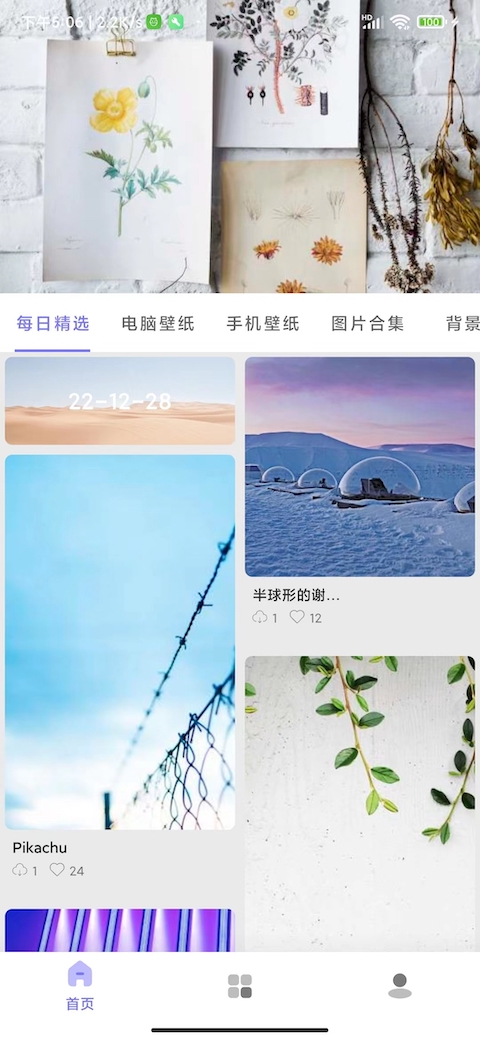 派上壁纸破解版