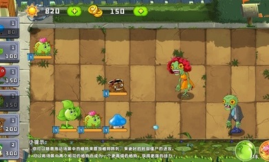 植物吊打僵尸破解版