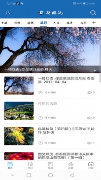 新临洮破解版