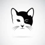 白夜猫影视官方版