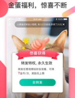 有赚短视频免费版