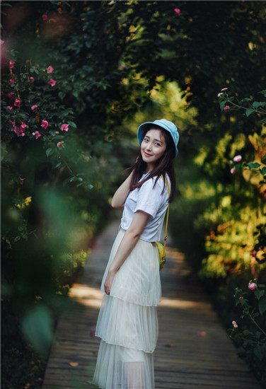 番茄黄瓜丝瓜草莓秋葵大全精简版
